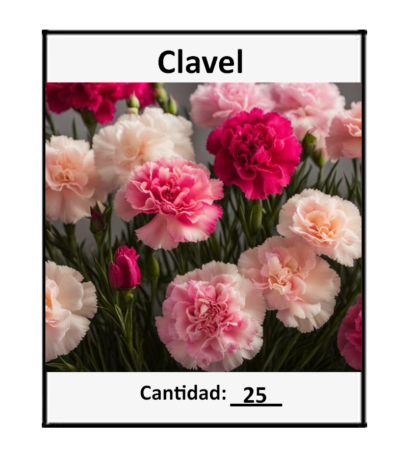 25 semillas de Flor Doble Clavel